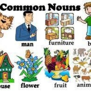 Common-noun