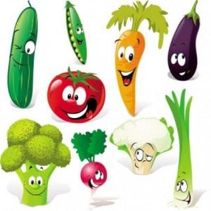 Vegetable