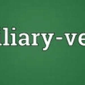 Auxiliary-Verbs