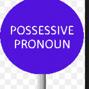 Possessive-Pronoun
