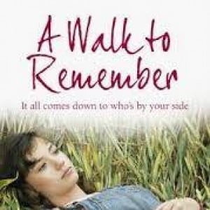 contoh novel A Walk to Remember