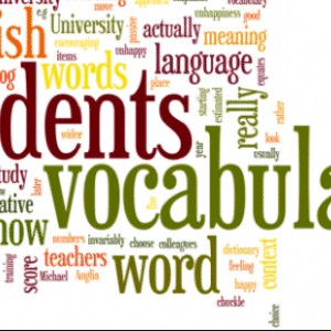 vocabulary