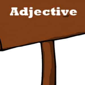 Adjective-of-Quantitative