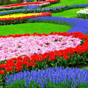 Amazing Colour