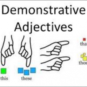 Demonstrative Adjectives