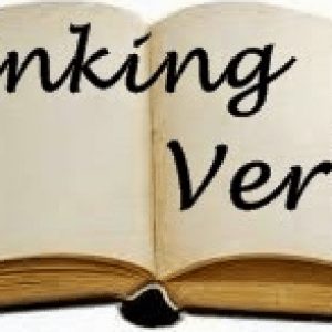 Linking-Verb