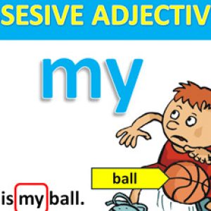 Possessive-Adjective