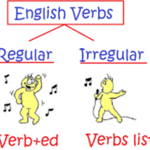 Regular and Irregular Verb