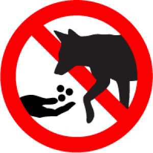 dont feed animal