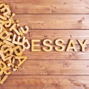 essay