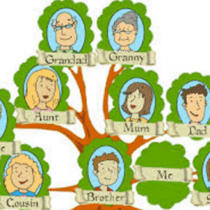 family Tree