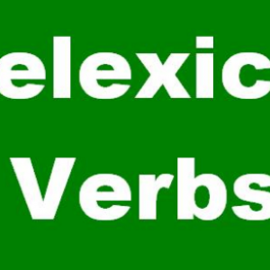 Delexical Versb