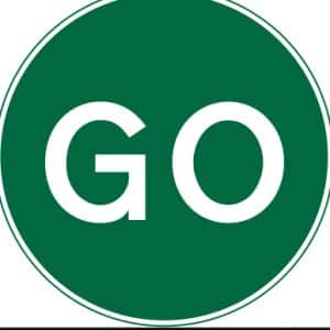 Go-is-delexical