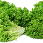 Lettuce