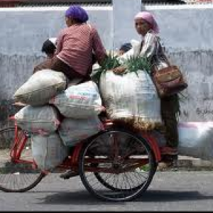 Our Transportation