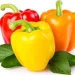 Paprika