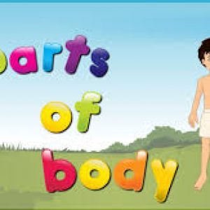 Part Of Body