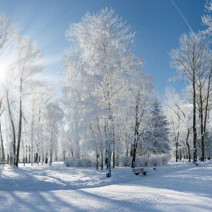 Winter Kumpulan Musim (Season) Dalam Bahasa Inggris Dan Penjelasan Lengkapnya