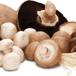 mushroom