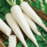 radish