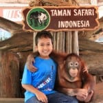 zoo