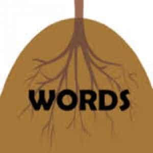 root-word