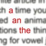 a an the