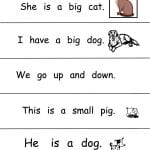 sentence