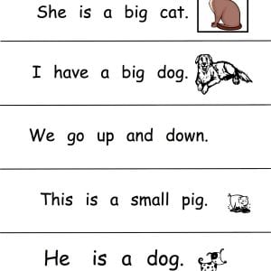 sentence-1