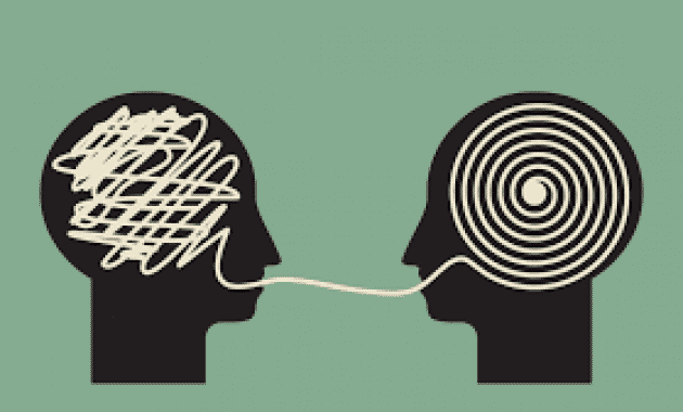 translator
