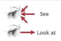 look-dan-see