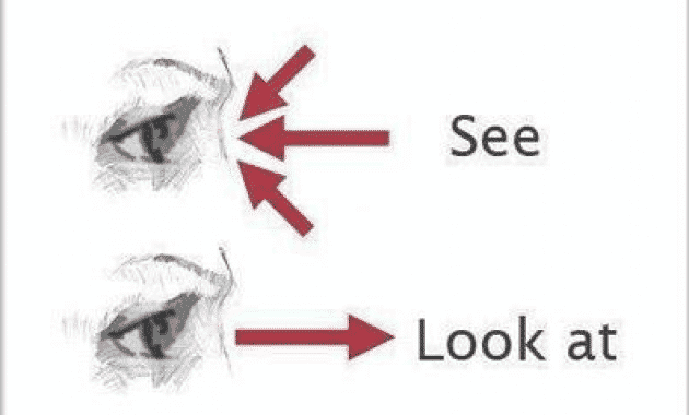 Perbedaan Kata 'See' Dan 'Look' Beserta Contoh Kalimatnya Dalam Bahasa Inggris