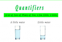Contoh-Materi-Bahasa-Inggris-Exercise-Quantifiers-1
